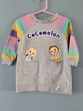Gray Pullover Top with Colorful Striped Sleeves